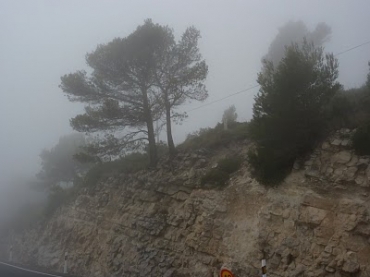 Early Morning Autumn Mist